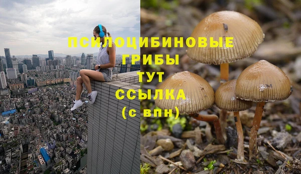 мяу мяу мука Армянск