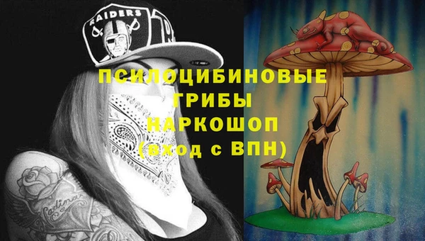 кокс Арсеньев