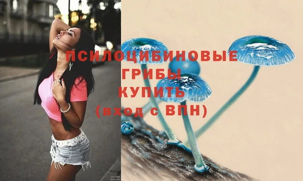 мяу мяу мука Армянск