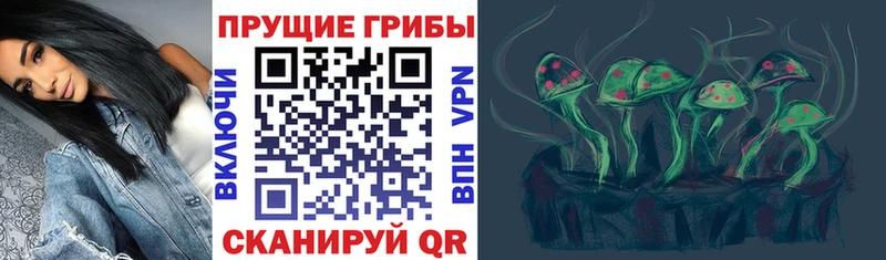 Псилоцибиновые грибы MAGIC MUSHROOMS  где купить наркотик  Приволжск 